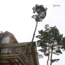 청태산그린 이미지