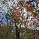 평창 백룡동굴 이미지