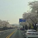 예림초등학교 이미지