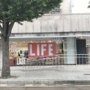 6월 서울 전시회 추천 더 라스트 프린트 ｜ 라이프 사진전