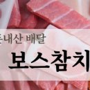보스참치 이미지