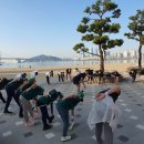 데일리피티 이미지