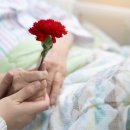 한마음내과 이미지