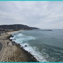 등기산스카이워크 이미지