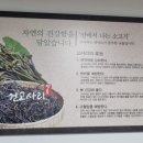 카카오 이미지