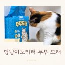 노리터 | 아이·고양이 함께 키우는 집 필수템 | 멍냥이노리터 두부 모래 솔직 후기