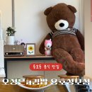 오정은 a김밥 이미지