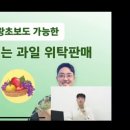 팜피디