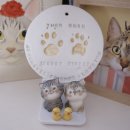 아쿠네 | 고양이 발도장·아기 손도장 만들기｜아쿠네 DIY + 문교 에어드라이 클레이 사용후기