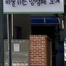 비둘기는멍청해보여