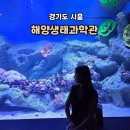 탁구3반( 수요일 13;30~15:30, 금요일 10:00~12:00) | 1만원도 안 되는 아쿠아리움 시흥 해양생태과학관 예약 체험 주차 총정리