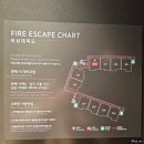 펜트온 | 내돈내산 | 더 시에나 리조트 제주 호캉스 추천 후기 | 펜트하우스 THE VE, 수영장, 7성급