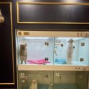 달링하이 포항점 이미지