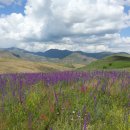 정원이네식당 이미지