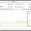 윤엔알 주식회사
