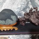 김동환농장 이미지