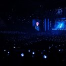 온디어(On dear) 이미지