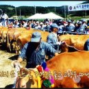 현대관광개발