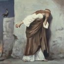 서초중앙로24길 55 이미지