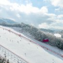 (연말/명절연휴) 비발디파크 소노펠리체 / 소노빌리지 / 소노펫 가실분!! 이미지