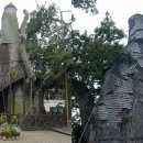 바오밥나무기타 이미지