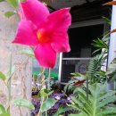 교촌리경로당 이미지