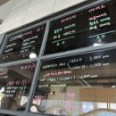 냐옹냐옹고양이카페 이미지