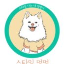 스타일 멍멍 이미지