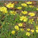 신현유치원 이미지