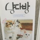 냥다방 이미지