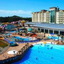 골드스파 이미지