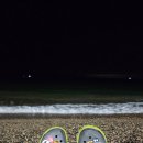 오구피자성대점 | [일상/포토덤프챌린지]경주 양남 관성솔밭해변.주말 퇴근후 아이들과 바닷가 밤마실.