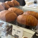 빌라누스 - 수성구 | 대구 소금빵 맛집 [빌라누스] 명란마요 바질 소금빵 후기｜대구 빵집 추천 바삭한 소금빵 끝판왕