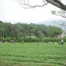 들풀농장 이미지