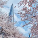 DNA PC CAFE 이미지