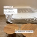 여수 엘로디 독채 스파펜션 | 여수 우두리포펫 애견펜션 104호 | 여수 애견동반 숙소 내돈내산 후기