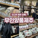 쌍용기초소재(주) | 제주 무인양품 오픈, 노형동 신제주 쇼핑 MUJI 방문 후기｜세일 추천템 주차