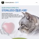 나누리펫 이미지