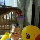 하진 Daum카페