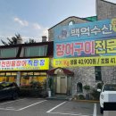 백억장어 이미지