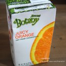 카페보타니 이미지