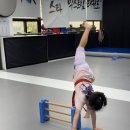 스타 익스트림 태권도 이미지
