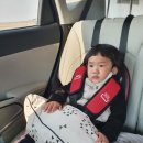 파파스터프 미니핏카시트 : 휴대용카시트 후기에요~