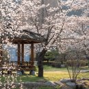 와동구판장 화장실 이미지