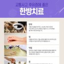 괴정동의한의원 이미지