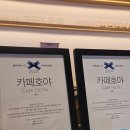 이천 카페 카페호야 후기 디저트 라떼 고양이
