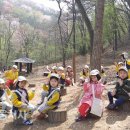 완산칠봉 유아숲체험원 이미지