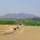 금호강하중도 이미지