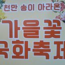 9월20일 계양 아라온 국화축제 / 드림파크 이미지