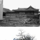 일제에 의해 훼손되기 전, 조선시대 궁궐 모습 이미지